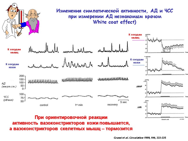 Изменения симпатической активности, АД и ЧСС  при измерении АД незнакомым врачом  White